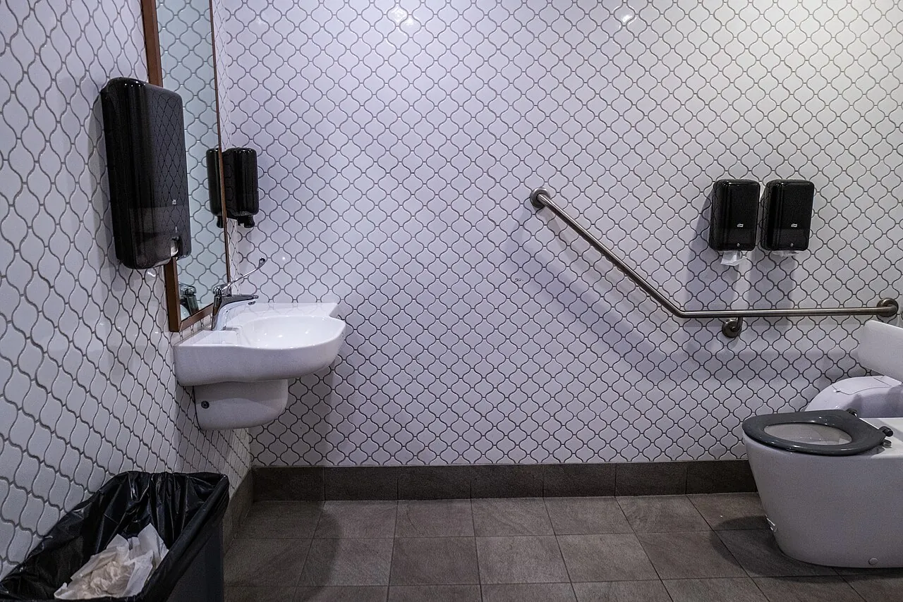 Accessible bathroom with a grab rail beside the toilet and a low wall-mounted basin